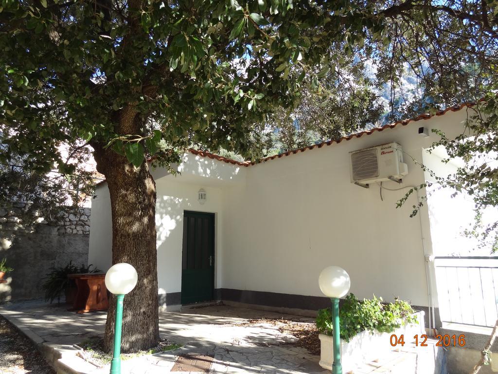 Holiday House Zorra Živogošće المظهر الخارجي الصورة