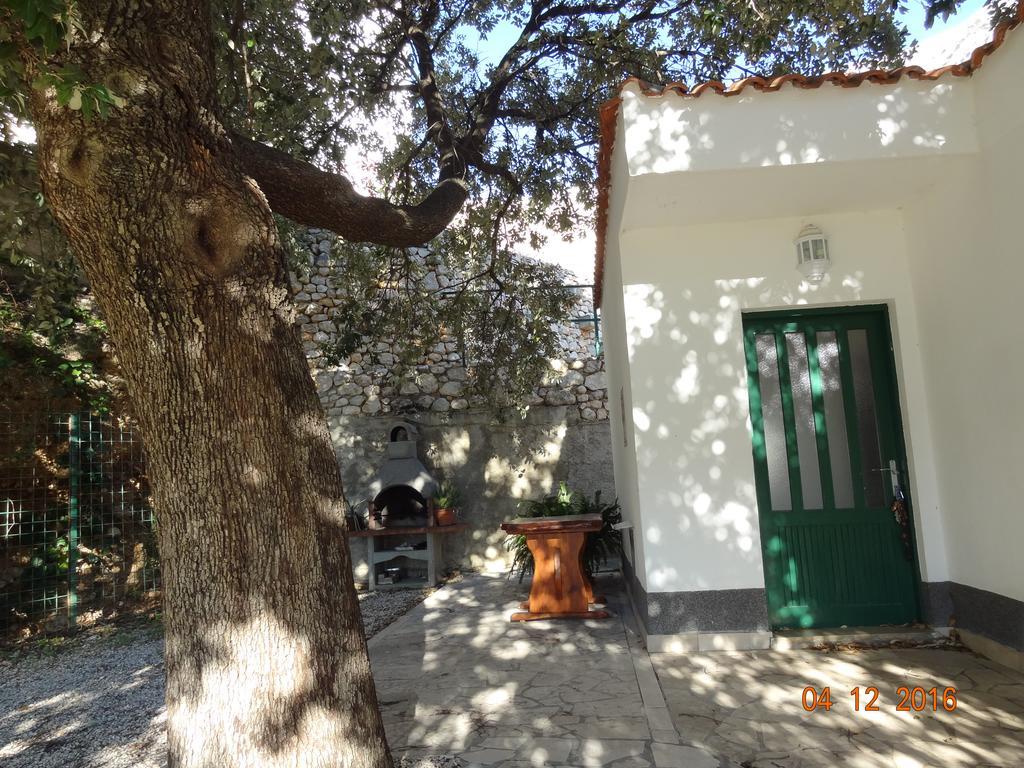 Holiday House Zorra Živogošće المظهر الخارجي الصورة